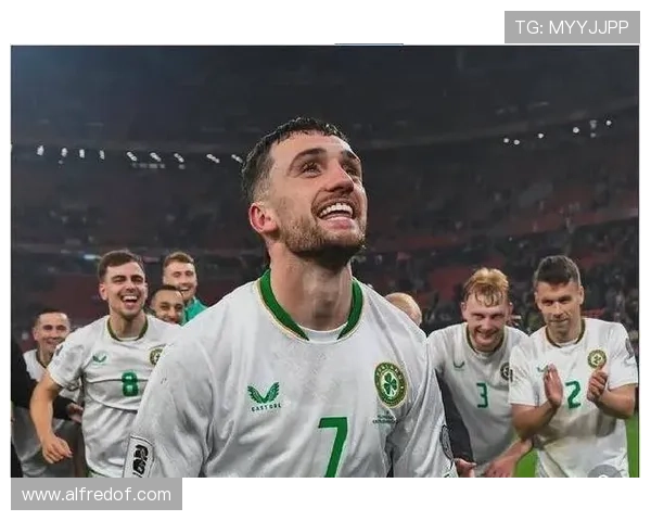 爱尔兰球迷激情高涨，展现团结之声的赛场表现值得关注