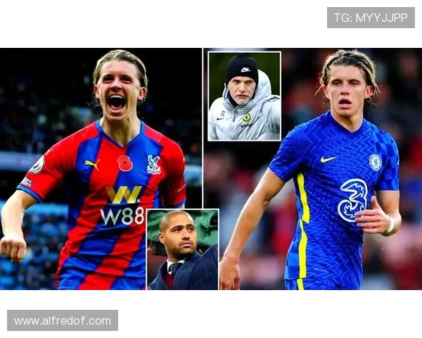 足球新星本赛季表现稳健，多位年轻球员持续提升备受期待