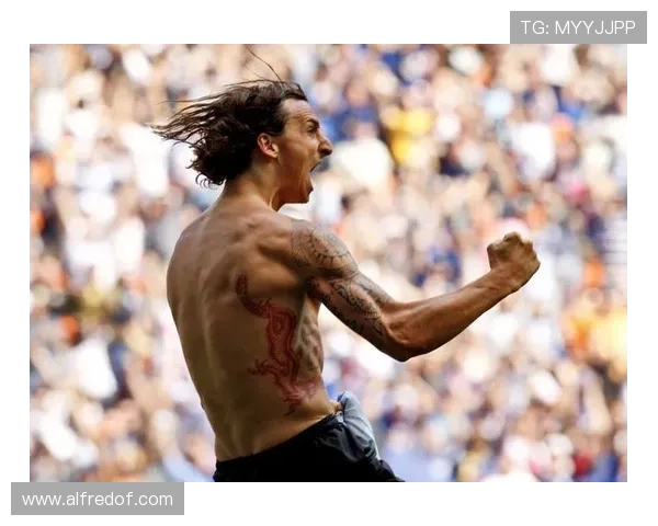 伊布技术全面性